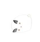 cute machi rabbit（個別スタンプ：39）