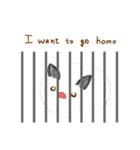 cute machi rabbit（個別スタンプ：40）