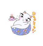 まゆ毛ネコをおうちで飼ってね（個別スタンプ：12）