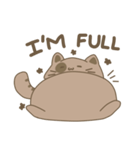 Daily Life of A Fat Cat（個別スタンプ：34）