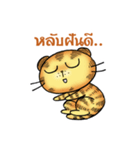 Maru Maru cat（個別スタンプ：39）