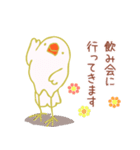 酔いドリ白文鳥（個別スタンプ：3）