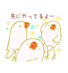 酔いドリ白文鳥（個別スタンプ：11）