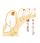 酔いドリ白文鳥（個別スタンプ：24）