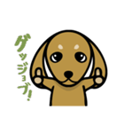 ダックス屋。（個別スタンプ：3）