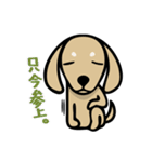 ダックス屋。（個別スタンプ：8）