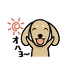 ダックス屋。（個別スタンプ：11）