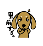 ダックス屋。（個別スタンプ：17）