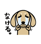 ダックス屋。（個別スタンプ：19）