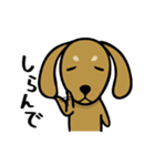 ダックス屋。（個別スタンプ：40）