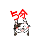 うず猫うず太（個別スタンプ：35）