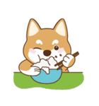 TAIWAN SHIBA - GIFAYE and Q JIANG（個別スタンプ：1）