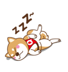 TAIWAN SHIBA - GIFAYE and Q JIANG（個別スタンプ：6）