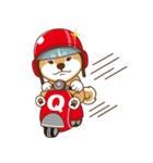 TAIWAN SHIBA - GIFAYE and Q JIANG（個別スタンプ：7）