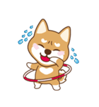 TAIWAN SHIBA - GIFAYE and Q JIANG（個別スタンプ：11）