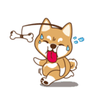 TAIWAN SHIBA - GIFAYE and Q JIANG（個別スタンプ：12）