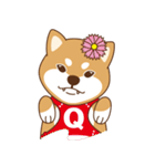 TAIWAN SHIBA - GIFAYE and Q JIANG（個別スタンプ：13）