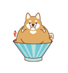 TAIWAN SHIBA - GIFAYE and Q JIANG（個別スタンプ：21）