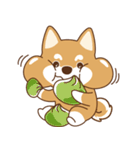 TAIWAN SHIBA - GIFAYE and Q JIANG（個別スタンプ：24）