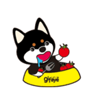 TAIWAN SHIBA - GIFAYE and Q JIANG（個別スタンプ：26）