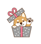 TAIWAN SHIBA - GIFAYE and Q JIANG（個別スタンプ：34）
