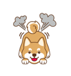 TAIWAN SHIBA - GIFAYE and Q JIANG（個別スタンプ：35）