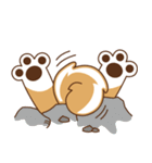 TAIWAN SHIBA - GIFAYE and Q JIANG（個別スタンプ：36）