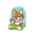 TAIWAN SHIBA - GIFAYE and Q JIANG（個別スタンプ：40）