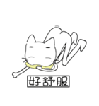 speechless  cat（個別スタンプ：29）