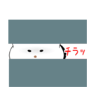 ノボタン12（個別スタンプ：40）