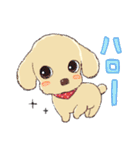 ゆるふわトイプー3兄弟（個別スタンプ：1）