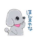 ゆるふわトイプー3兄弟（個別スタンプ：17）