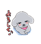ゆるふわトイプー3兄弟（個別スタンプ：25）
