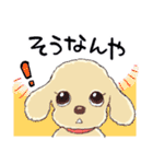 ゆるふわトイプー3兄弟（個別スタンプ：36）