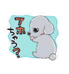 ゆるふわトイプー3兄弟（個別スタンプ：38）