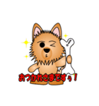 ☆いつもわんこ☆（個別スタンプ：1）