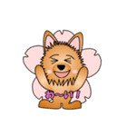 ☆いつもわんこ☆（個別スタンプ：2）