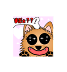 ☆いつもわんこ☆（個別スタンプ：10）