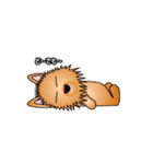 ☆いつもわんこ☆（個別スタンプ：12）