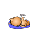 ☆いつもわんこ☆（個別スタンプ：13）