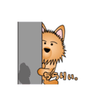 ☆いつもわんこ☆（個別スタンプ：14）