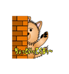 ☆いつもわんこ☆（個別スタンプ：16）