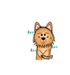 ☆いつもわんこ☆（個別スタンプ：23）