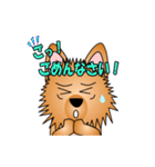 ☆いつもわんこ☆（個別スタンプ：24）