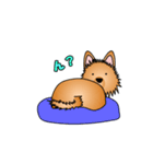 ☆いつもわんこ☆（個別スタンプ：29）