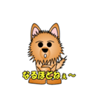 ☆いつもわんこ☆（個別スタンプ：35）