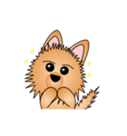 ☆いつもわんこ☆（個別スタンプ：36）
