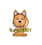 ☆いつもわんこ☆（個別スタンプ：37）