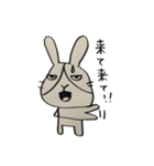うさぎのらんまる2（個別スタンプ：31）