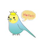 インコのティアラ（個別スタンプ：1）
